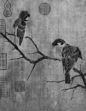 黑白-鳥(niǎo)1_副本_副本